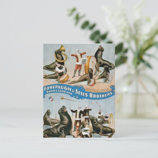 Vaudeville, Circus shows Briefkaart (Staand voorkant)