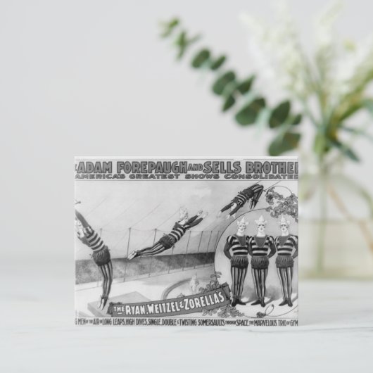 Vaudeville, Circus shows Briefkaart (Staand voorkant)