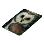 Vaughn Belak Uil magneet (Linkerzijde)