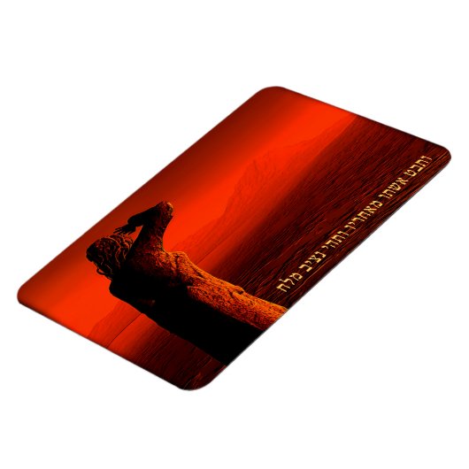 Vayeira - Lot's vrouw Magneet (Linkerzijde)