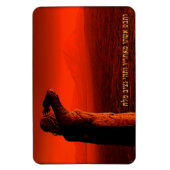 Vayeira - Lot's vrouw Magneet (Verticaal)