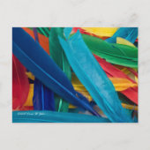 Veaderend Briefkaart (Voorkant)