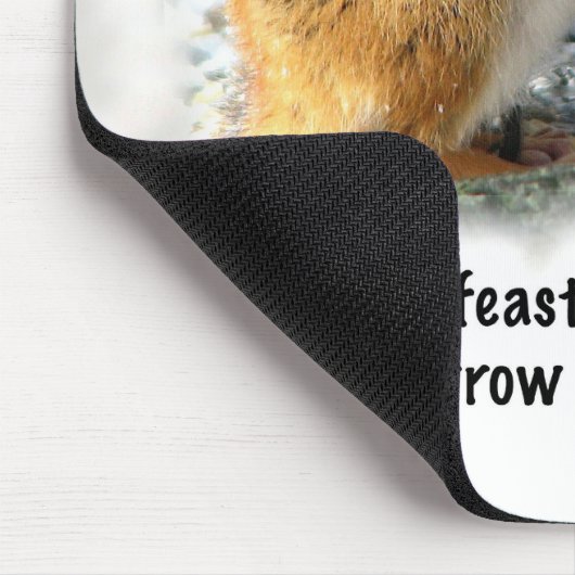 Veasting Chipmunk Muismat (Hoek)