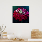Veathered Zinnia Poster (Keuken)