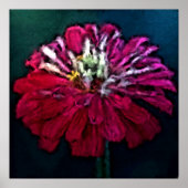 Veathered Zinnia Poster (Voorkant)