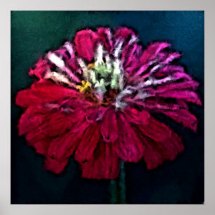 Veathered Zinnia Poster
