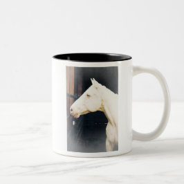 Vecht tegen Rocky Fight Mok