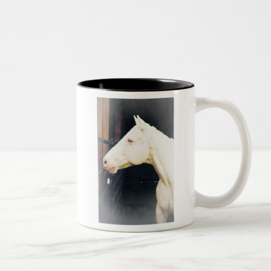 Vecht tegen Rocky Fight Mok (Rechts)