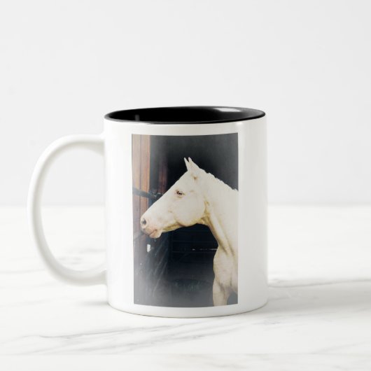 Vecht tegen Rocky Fight Mok (Links)