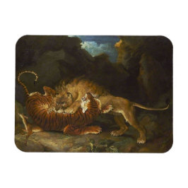 Vecht tussen een leeuw en een tijger magneet