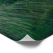 Vecht tussen een tijger en Buffalo, Henri Rousseau Poster (Hoek)