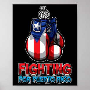 Vechten voor Puerto Rico - Puerto Ricaanse vlag -  Poster