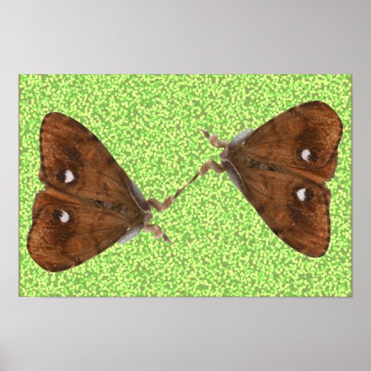 Vechtende Motsen Poster (Voorkant)