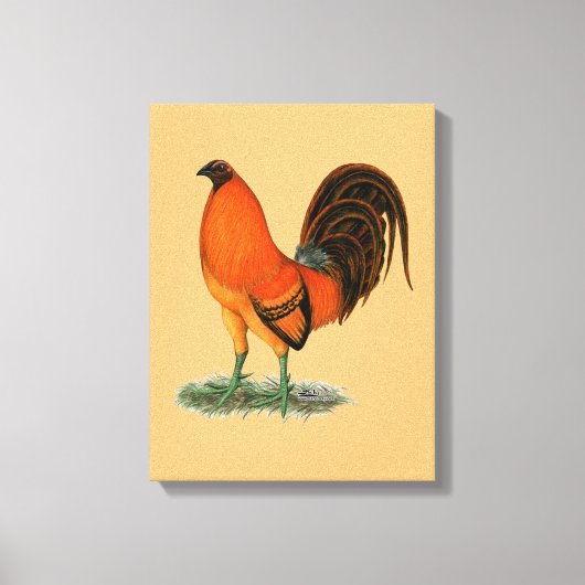 Vechthaankalkoen rode haan canvas afdruk (Voorkant)