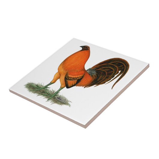Vechthaankalkoen rode haan tegeltje (Zijkant)