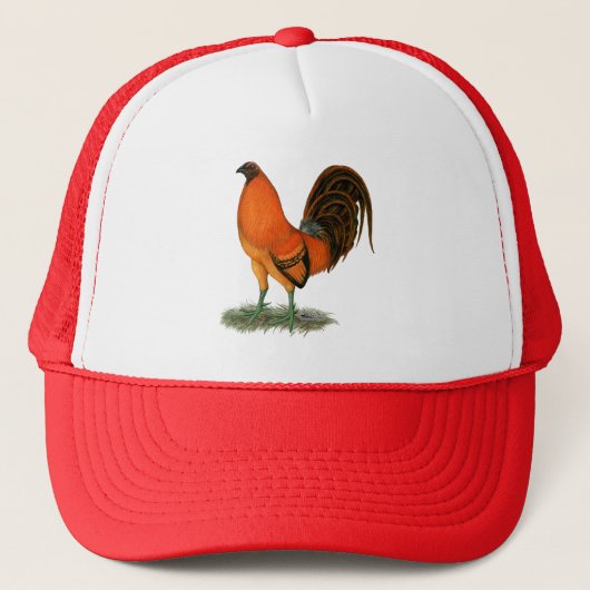 Vechthaankalkoen rode haan trucker pet (Voorkant)