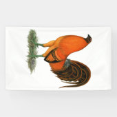 Vechthaankleurige gemberrode haan spandoek (Horizontaal)