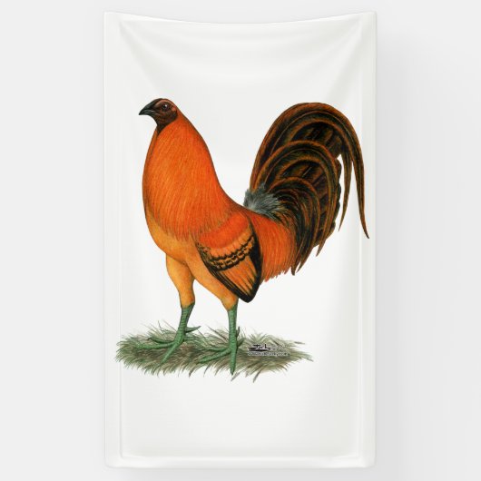 Vechthaankleurige gemberrode haan spandoek (Verticaal)