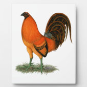 Vechthaankleurige Ginger Red Haan Fotoplaat (Voorkant)