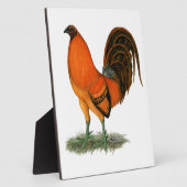 Vechthaankleurige Ginger Red Haan Fotoplaat (Zijkant)