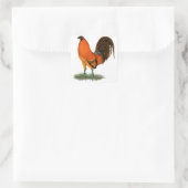 Vechthaankleurige Ginger Red Haan Vierkante Sticker (Tas)
