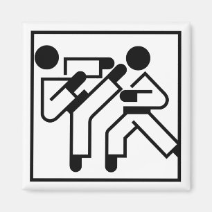 vechtsporten figuren magneet