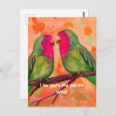 vedervogels briefkaart (Voorkant / Achterkant)