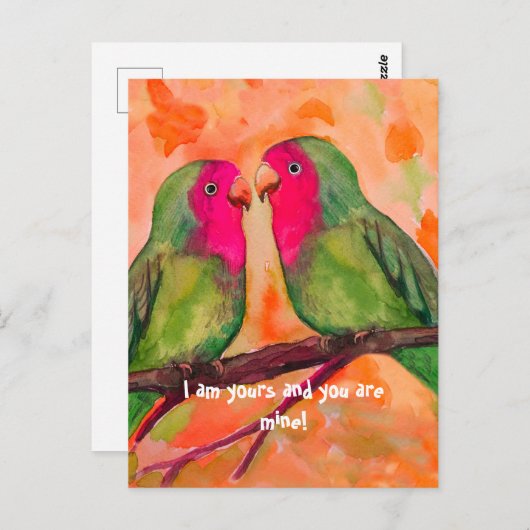 vedervogels briefkaart (Voorkant / Achterkant)