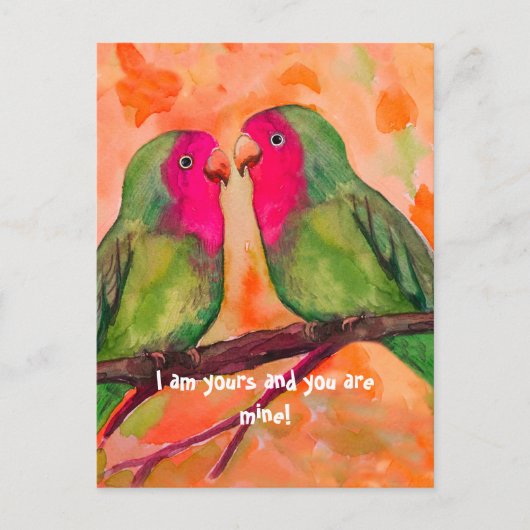 vedervogels briefkaart (Voorkant)