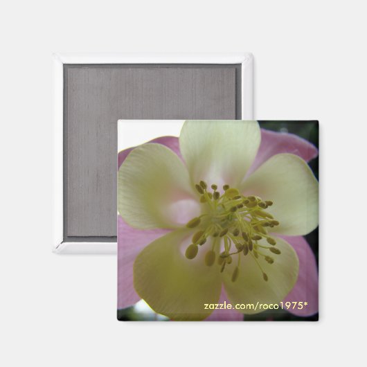 veduta magneet (Voorkant / Achterkant)