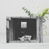 veeboerderij feestdagenkaart (Staand voorkant)