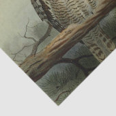  veefilters tissuepapier (Detail)