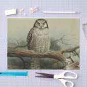  veefilters tissuepapier (Craft)