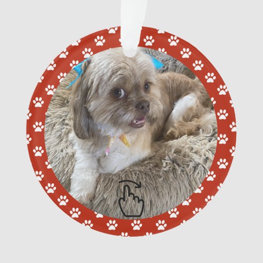 VEEG NAAR RECHTS - Zie achterkant ... Ornament (voorkant)