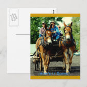 veehouder via show van het trekpaard briefkaart (Voorkant / Achterkant)