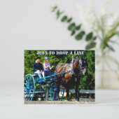 veehouder via show van het trekpaard briefkaart (Staand voorkant)