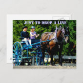 veehouder via show van het trekpaard briefkaart (Voorkant / Achterkant)