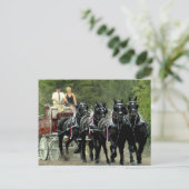 veehouder via show van het trekpaard briefkaart (Staand voorkant)