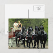 veehouder via show van het trekpaard briefkaart (Voorkant / Achterkant)