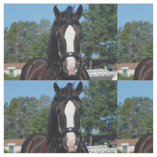 veehouder via show van het trekpaard stof (Close Up)