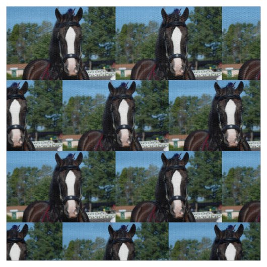 veehouder via show van het trekpaard stof (Swatch)