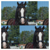 veehouder via show van het trekpaard stof (Close Up)