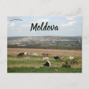 Veehouderij in Chisinau Moldavië Briefkaart