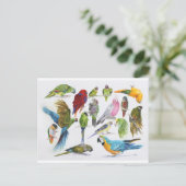 Veel artikelen op veel cadeautjes en veel cadeaus briefkaart (Staand voorkant)