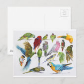 Veel artikelen op veel cadeautjes en veel cadeaus briefkaart (Voorkant / Achterkant)