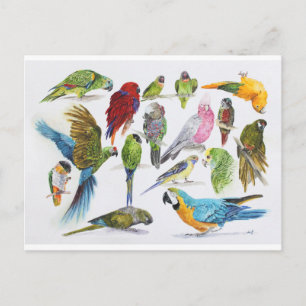 Veel artikelen op veel cadeautjes en veel cadeaus briefkaart