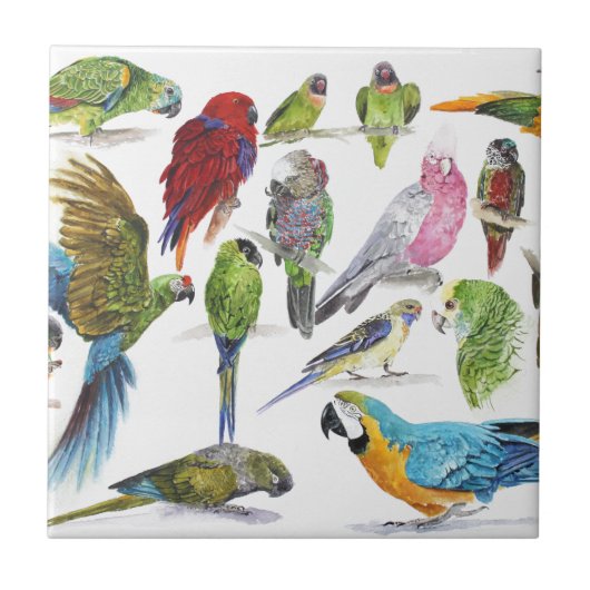 Veel artikelen op veel cadeautjes en veel cadeaus tegeltje (Voorkant)