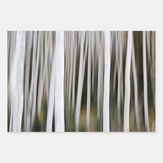 Veel Aspen-bomen Inpakpapier Vel (Voorkant 2)