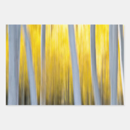 Veel Aspen-bomen Inpakpapier Vel