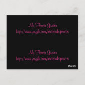 Veel Bladwijzer Briefkaart Coneflowers (Achterkant)